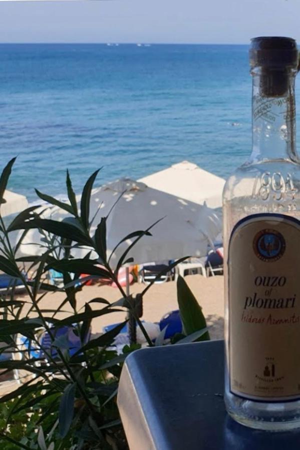 Mediterranean Dream 沃罗里尼 外观 照片