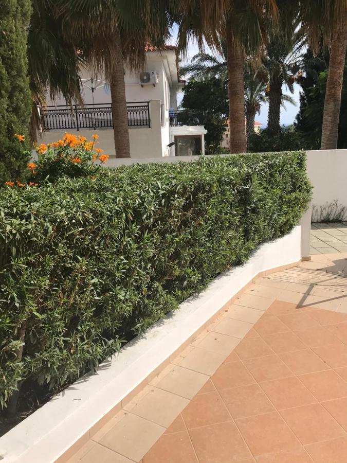 Mediterranean Dream 沃罗里尼 外观 照片
